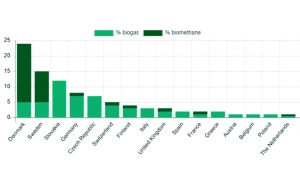 Producción de biometano y biogás en relación con el consumo total de gas en 2021, 16 países principales.